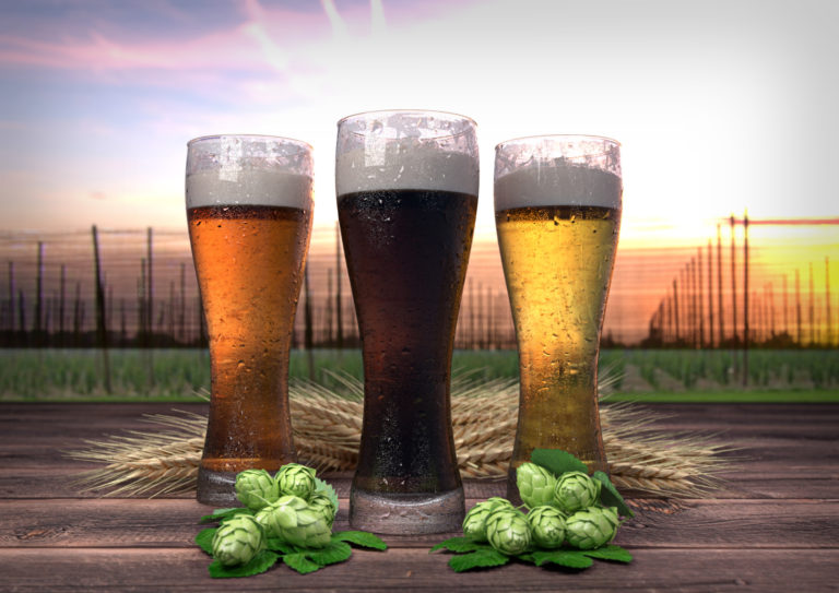 Tyskie Brewery Tour